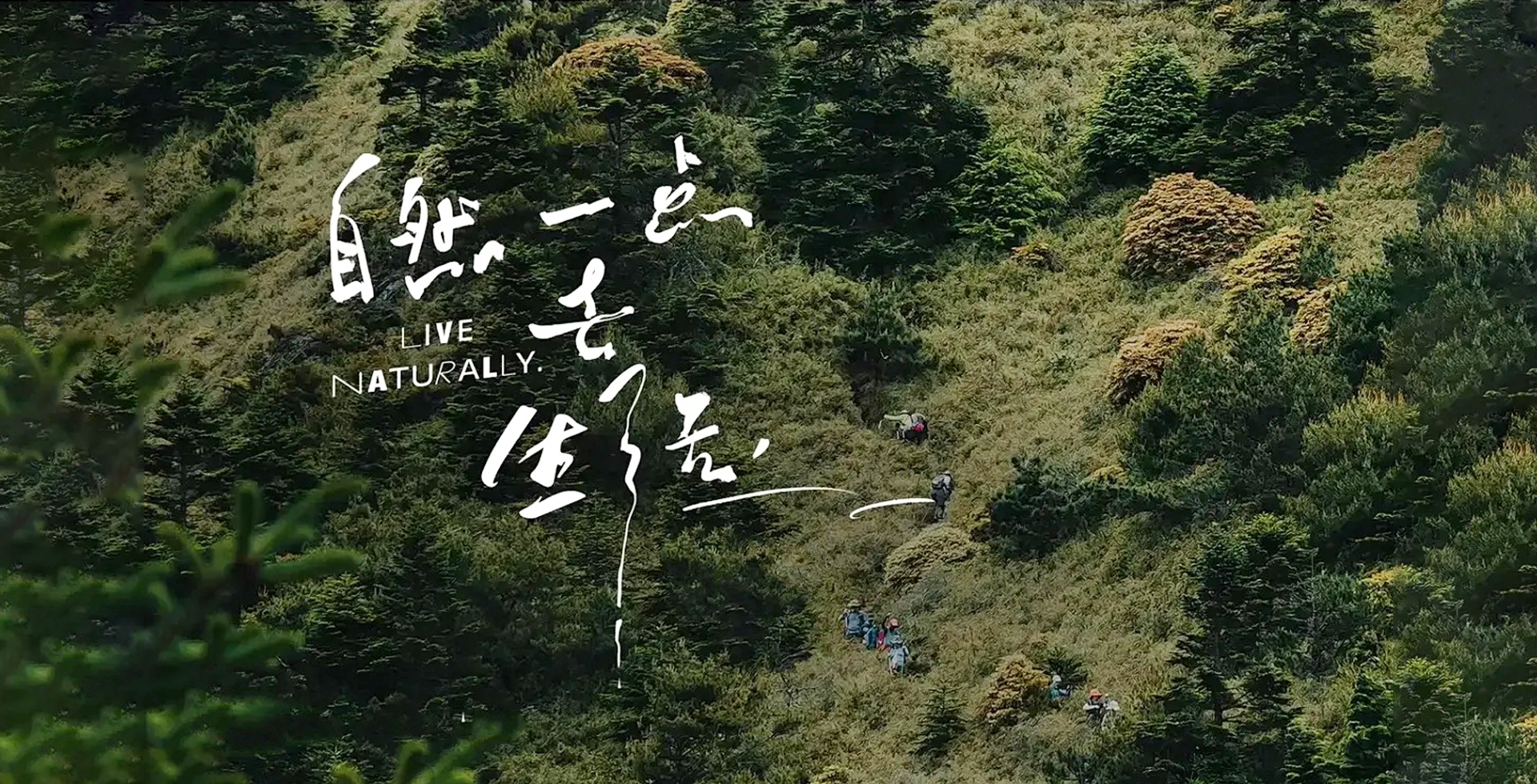 自然一点,去生活